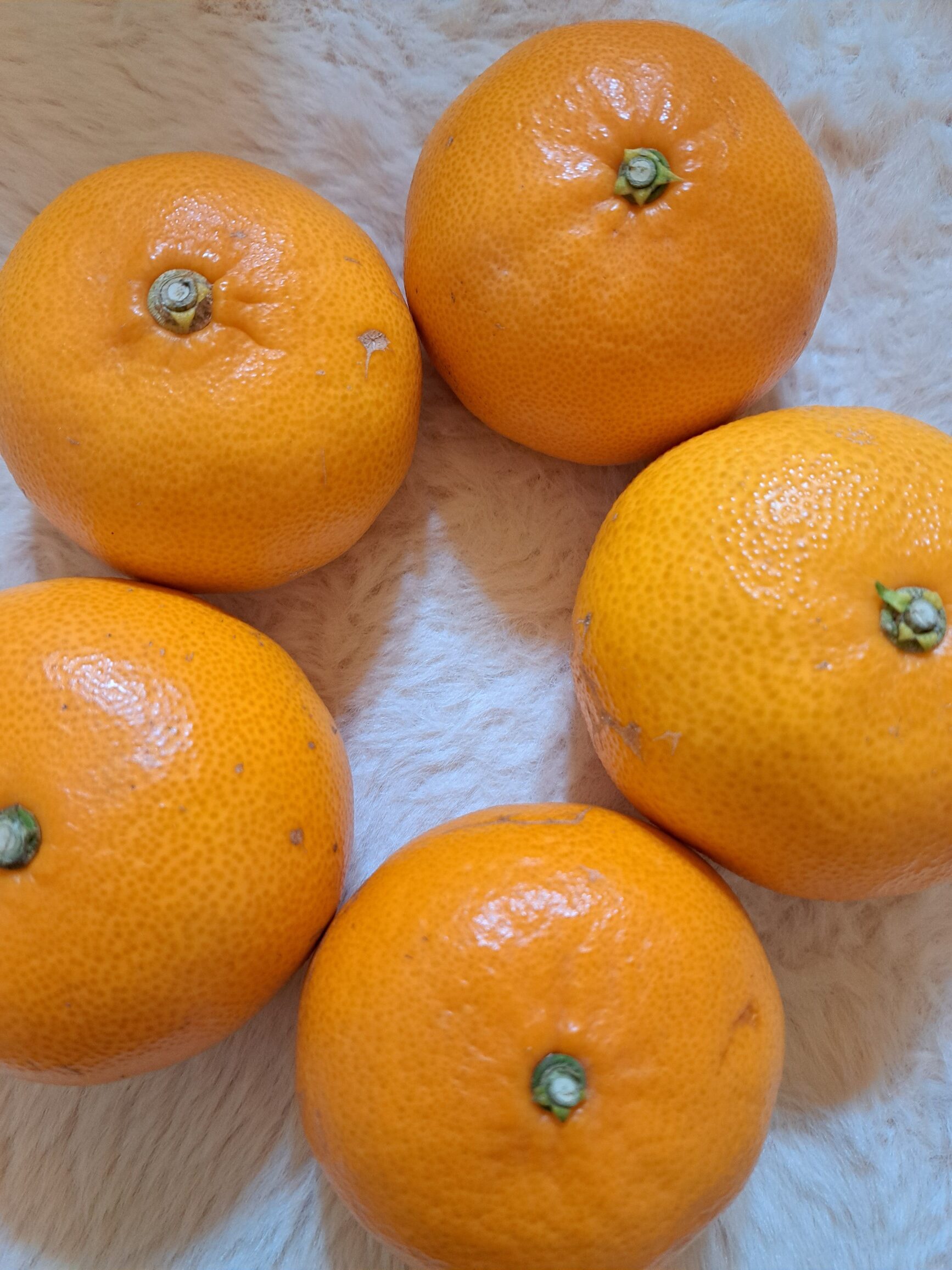 ビタミンたっぷり